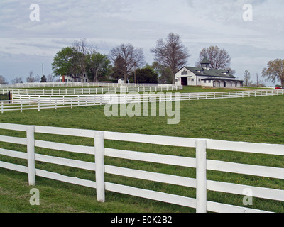 Una granja de caballos de pura raza en Bluegrass Country,Lexington, Kentucky Foto de stock