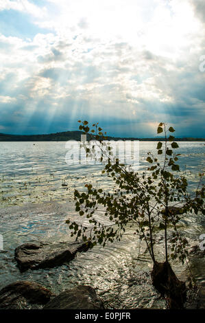 Italia Piamonte Viverone el 18 de mayo de 2014 el domingo en el lago. Lago Foto de stock