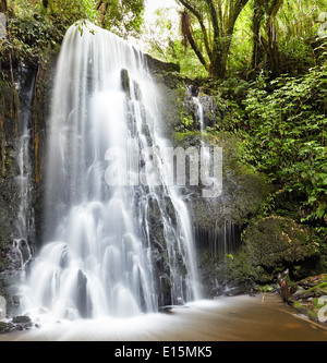 Matai Falls, Isla del Sur, Nueva Zelanda Foto de stock