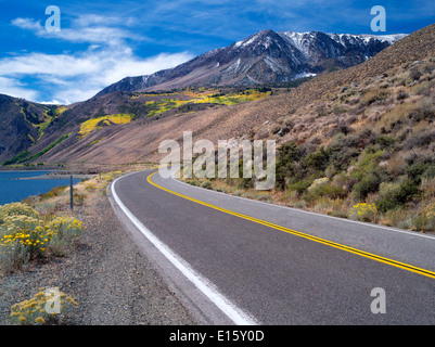 Carretera en junio de Lagos Lupa. Las Montañas de Sierra Nevada, California
