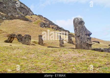 Estatuas llamadas moai tallado en la roca de toba volcánica en la cantera en la ladera del volcán Rano Raraku, un volcán extinto, Isla de Pascua Foto de stock