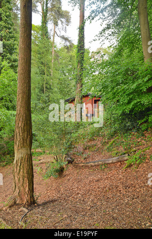 Lodge en el nuevo bosque Godshill Hampshire UK Inglaterra Foto de stock