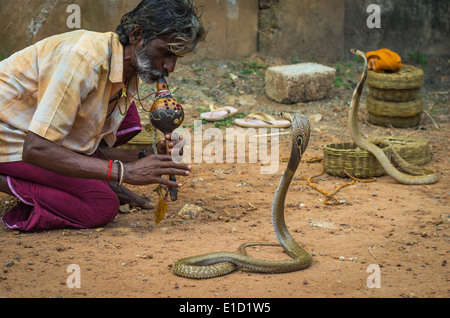 VARKALA, India - 9 de enero: encantador de serpientes encantador cobras en una calle de Varkala, India, 9 de enero de 2014. Foto de stock