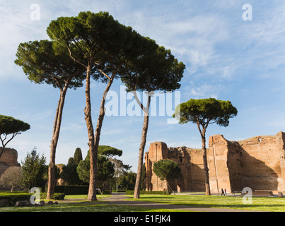 Roma, Italia. Terme di Caracalla, o en los baños de Caracalla que datan desde el siglo 3 DC.
