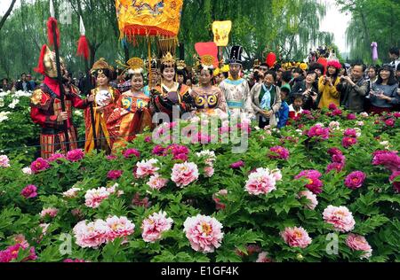 La flor nacional de China: Peony Fotografía de stock - Alamy