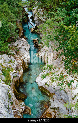 Eslovenia, región Goriska, Bovec, el Parque Nacional de Triglav, Velika Korita, Soca River Gorge Foto de stock