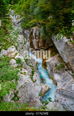 Eslovenia, región Goriska, Bovec, el Parque Nacional de Triglav, Velika Korita, Soca River Gorge Foto de stock