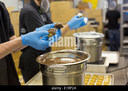 Denver, Colorado - Trabajadores en Dixie elixires hacen de Colorado Bares, cubiertas de chocolate edibles marihuana. Foto de stock