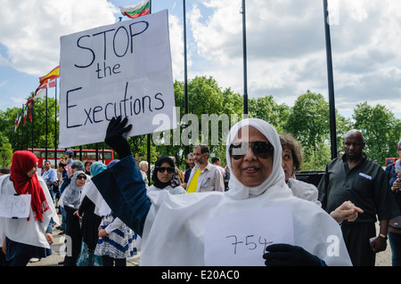 Una mujer musulmana tiene un letrero que diga 'Stop' las ejecuciones. Etapa egipcios protestar contra los abusos de los derechos humanos en Egipto, incluso la muerte, las ejecuciones, el encarcelamiento y la violencia auspiciada por el estado Foto de stock