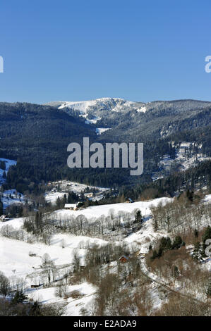 Francia, Haut Rhin, Hautes Vosges, Col du Calvaire Foto de stock