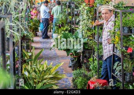 Panamá Coclé provincia Valle de Anton tenderetes con plantas y flores. Foto de stock