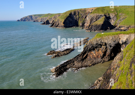 Un litoral accidentado cerca Ceibwr Bay y a lo largo de la costa de Pembrokeshire, Gales occidental Foto de stock