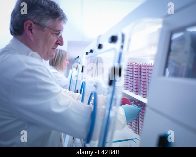 Scientist haciendo el cultivo bacteriano en agar dentro de estaciones de trabajo de laboratorio
