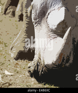 Una imagen artística de un rinoceronte blanco con un fuerte cuerno que parece que se va a cargar. El cabezal hasta el suelo, soplando el polvo