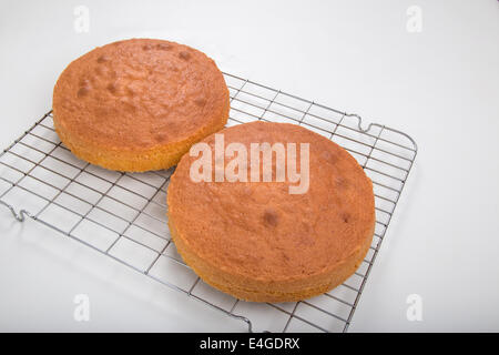 Victoria bizcocho en un molde para horno en rack de refrigeración y tablero  de madera [tierra] hacer un pastel (8 de 44 Fotografía de stock - Alamy