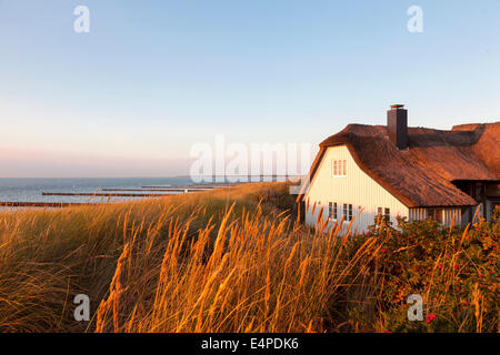Casita con techo de paja en las dunas de la playa, del mar Báltico, Ahrenshoop, Fischland, Mecklemburgo-Pomerania Occidental, Alemania