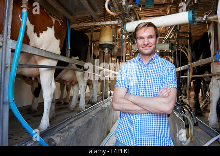 Retrato de agricultor con el ganado en el cobertizo ordeñando Foto de stock