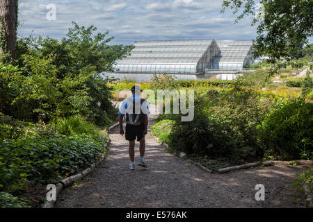 Hombre senior con mochila caminando a lo largo del camino hacia el Bicentenario casa de vidrio en verano en Wisley RHS Gardens, Surrey Foto de stock