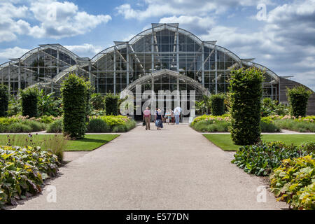 El Bicentenario en verano en el Glasshouse Wisley RHS Gardens, Surrey Foto de stock