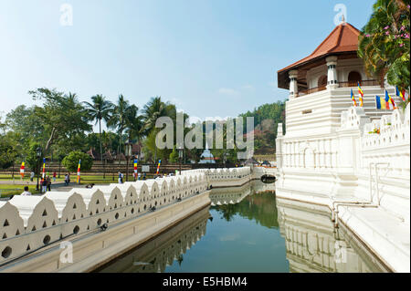 Templo del Diente, Sri Dalada Maligawa, Muro y foso, Kandy, Sri Lanka Foto de stock
