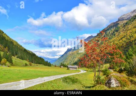 Gschnitz Valle en otoño vista hacia Mijdrecht Foto de stock