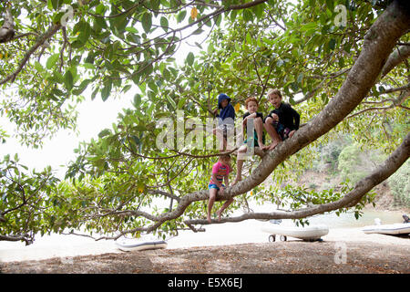 Retrato de una chica y tres hermanos sentados en el árbol en la playa