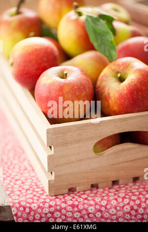 Las manzanas rojas en caja de madera Foto de stock