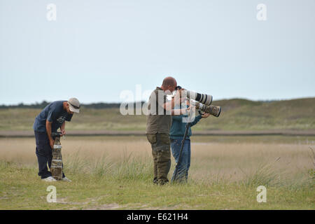 Fotógrafos de aves, la isla de Texel, Islas de Frisia occidental, los Países Bajos Foto de stock