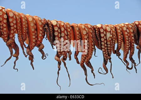 Pulpos colgó para secar en una línea de lavado, Mandraki, Kos, Grecia Foto de stock