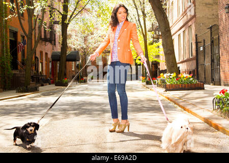 Mujer de raza mixta pasear perros en las calles de la ciudad