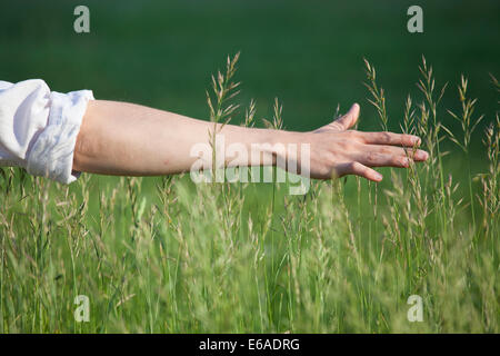 Disfrute,relajación,césped,arm