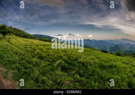 Una visión clara de las distantes montañas de la montura de hierba entre ronda y Jane Balds Foto de stock