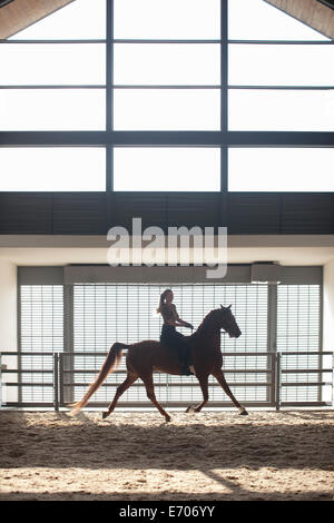 Mujer adulta media al trote en Chestnut horse en paddock interiores Foto de stock