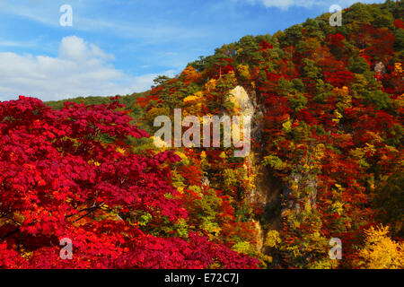 Naruko canyon en otoño, Miyagi, Japón Foto de stock