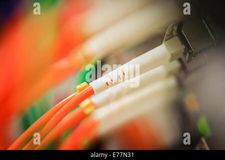 Cables de fibra óptica conectados a un router de gama alta la máquina a un  equipo de apoyo del centro de datos cloud computing Fotografía de stock -  Alamy