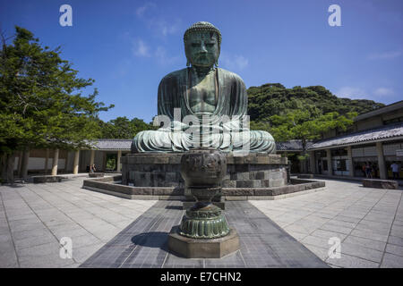 Kamakura, Japón - Agosto 7, 2014: El gran Buda de Kamakura (Daibutsu de Kamakura) es una estatua de bronce de buda Amida, que sta. Foto de stock