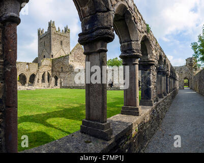 Vista desde el claustro en Jerpoint Abbey, Thomastown, condado de Kilkenny, República de Irlanda Foto de stock