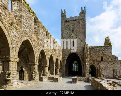 La Abadía de Jerpoint, Thomastown, condado de Kilkenny, República de Irlanda Foto de stock
