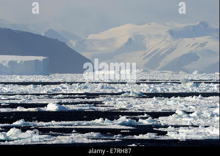 Los icebergs enfrente del paisaje de la Antártida continental Foto de stock