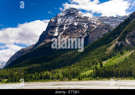 Las Montañas Rocosas, Campo, Parque Nacional Yoho, British Columbia, Canadá Foto de stock