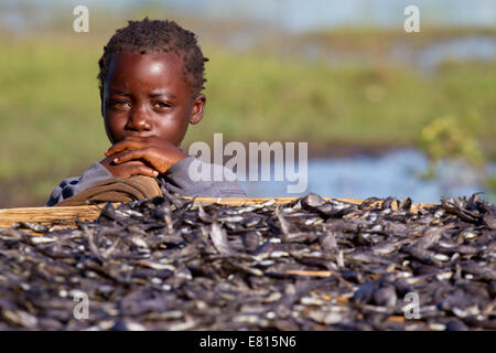 Un niño mira a través de un rack de secar el pescado en una aldea de pescadores de Bangweulu Wetlands, Zambia Foto de stock