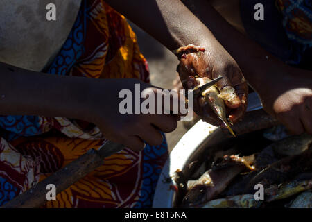 Un niño destripa un pez en una aldea de pescadores de Bangweulu Wetlands, Zambia Foto de stock