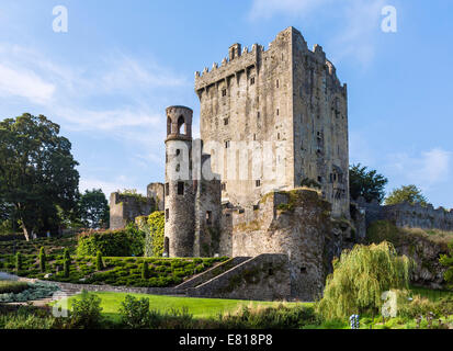 Castillo Blarney, cerca de Cork, en el condado de Cork, República de Irlanda Foto de stock