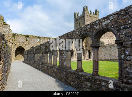 Vista desde el claustro en Jerpoint Abbey, Thomastown, condado de Kilkenny, República de Irlanda Foto de stock
