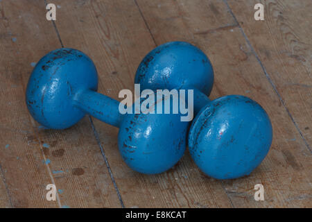 Blue Bells mudos tumbado sobre un piso de madera. Foto de stock