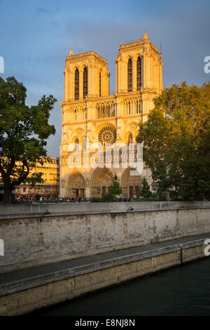 Ajuste la luz solar en la fachada de la catedral de Notre Dame, París, Francia Foto de stock