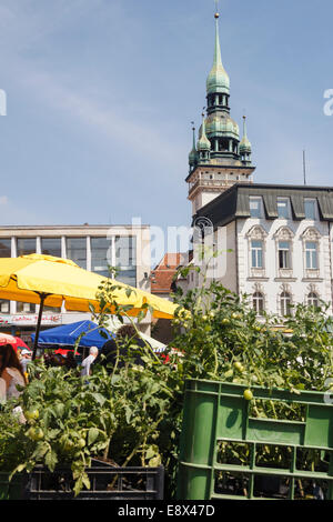 La plaza del mercado (Col Zelny TRH) en Brno, República Checa Foto de stock