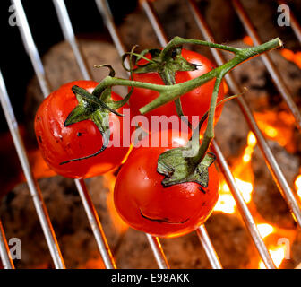 Montón de fruta roja madura sobre la vid tomates cherry asado sobre un fuego de barbacoa, un alto ángulo de visualización de la cuadrícula y resplandeciente de carbón