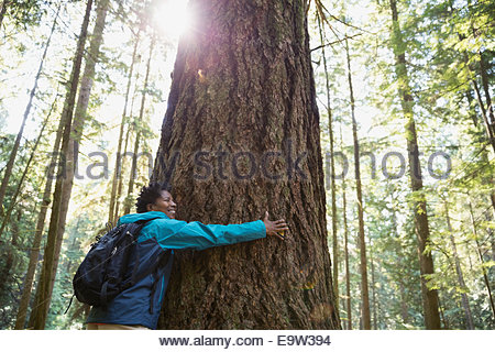 Mujer abrazando árboles en bosques soleados