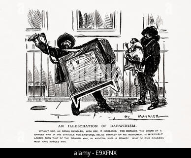 Ilustración Victoriana satírico desde 1877 por George Du Maurier, "Una ilustración del Darwinismo" Foto de stock